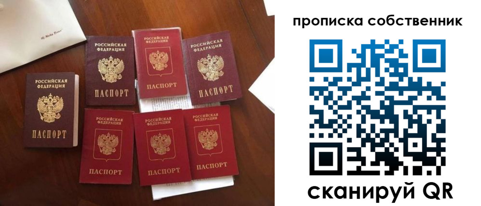 прописка для школы в Плавске